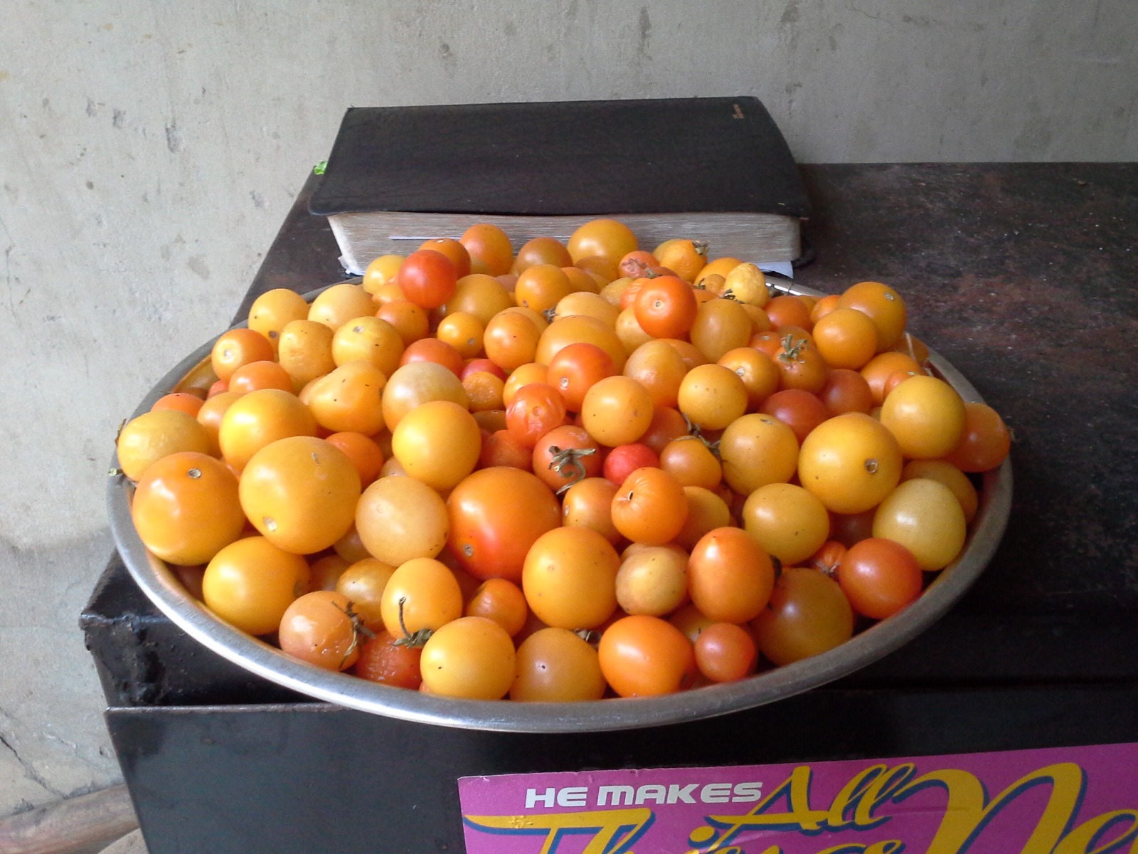 Freshly harvested, always